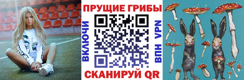Псилоцибиновые грибы MAGIC MUSHROOMS Котлас